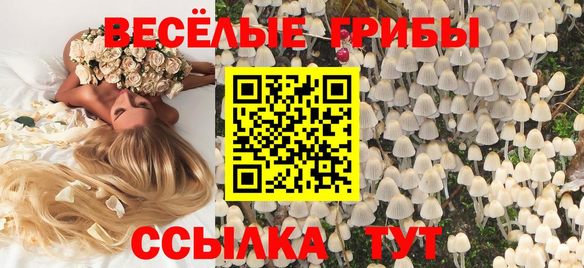 Псилоцибиновые грибы ЛСД Заводоуковск