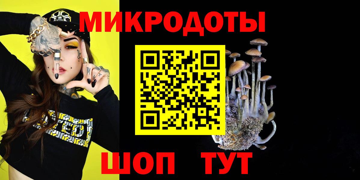 Заводоуковск  Галлюциногенные грибы мухоморы  дарнет шоп  Вход с VPN  Галлюциногенные грибы мицелий 